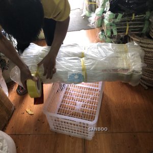 Cap Cau Hang 6ton.jpg